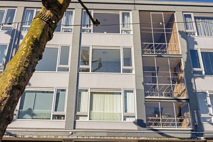 Foto 29 van Dries 56