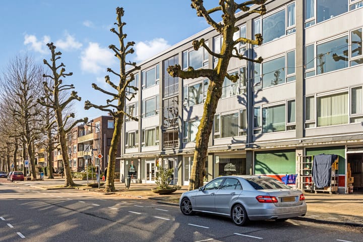 Foto 31 van Dries 56