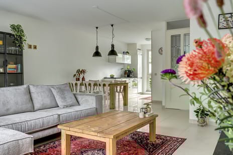 Claustrum 49 tertiary image