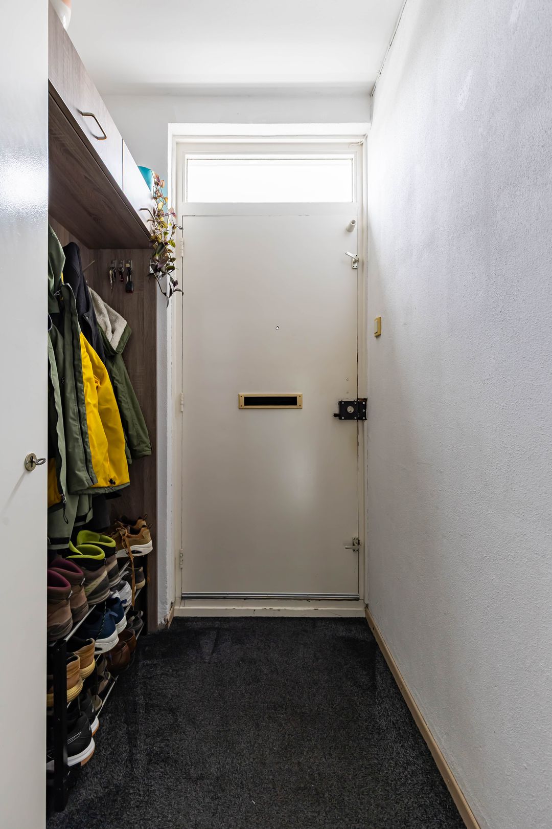 Foto 8 van Zonnelaan 205