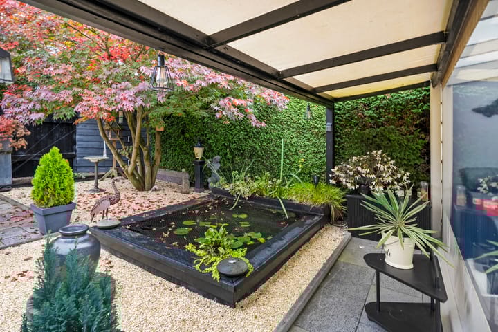 Foto 3 van De Koningsvaren 82