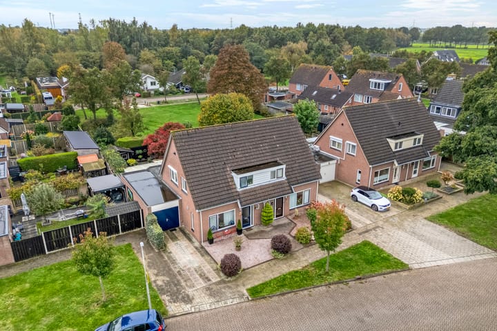 Foto 5 van De Koningsvaren 82