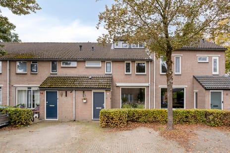 undefined main image