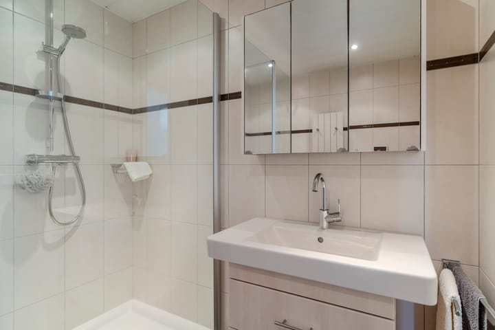 Foto 43 van Hollandse Tuin 7