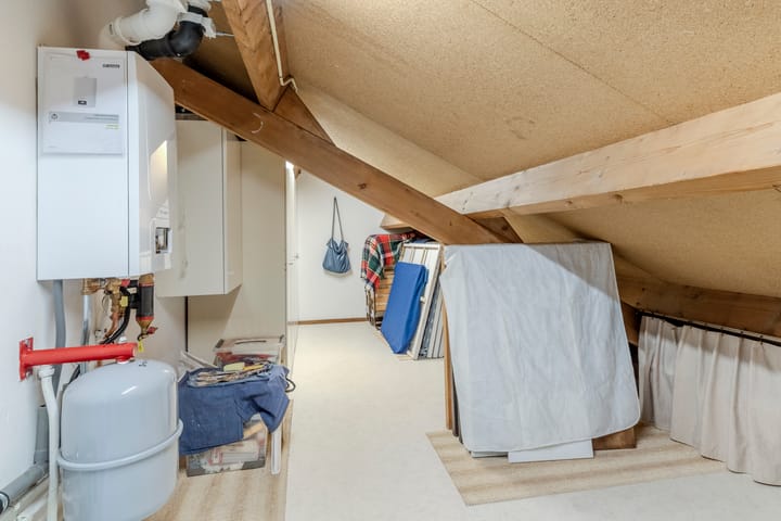 Foto 45 van Hollandse Tuin 7