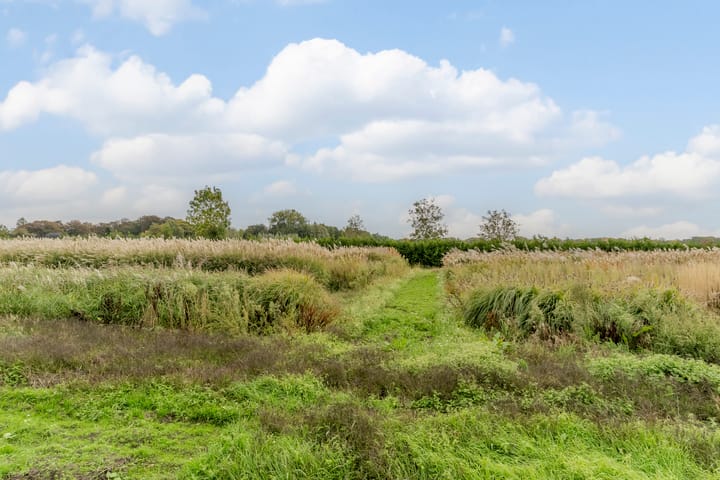 Foto 46 van Hollandse Tuin 7