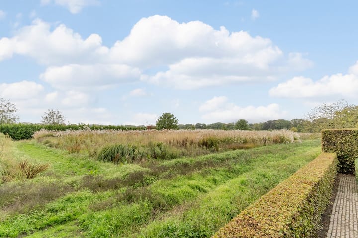 Foto 47 van Hollandse Tuin 7