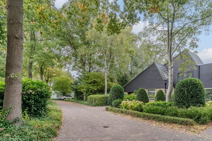 Foto 48 van Hollandse Tuin 7