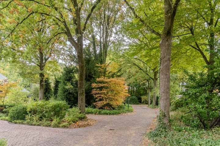 Foto 49 van Hollandse Tuin 7