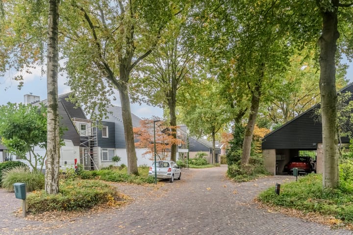 Foto 50 van Hollandse Tuin 7