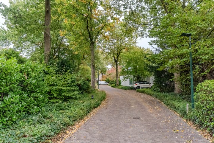 Foto 51 van Hollandse Tuin 7