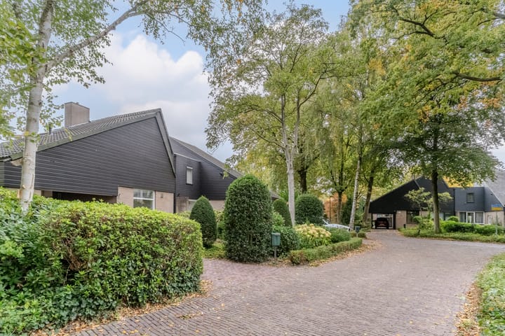 Foto 54 van Hollandse Tuin 7