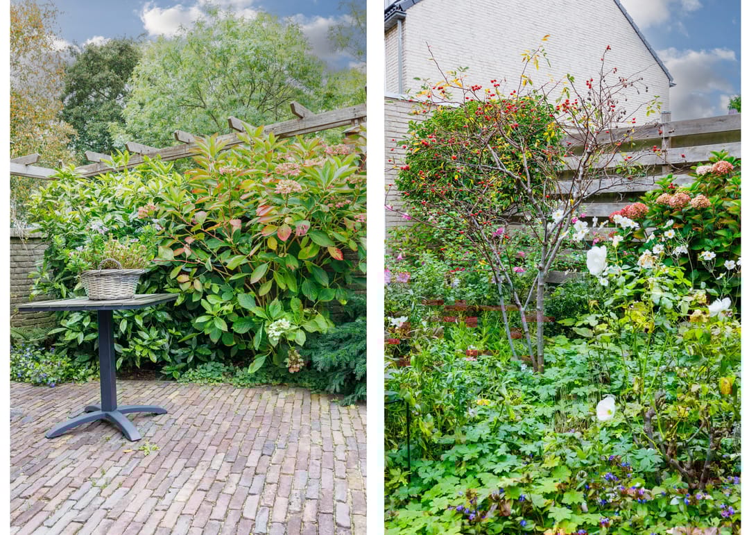 Foto 23 van Schapenweide 28