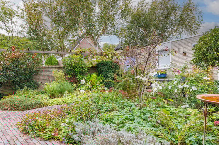 Photo 24 of Schapenweide 28