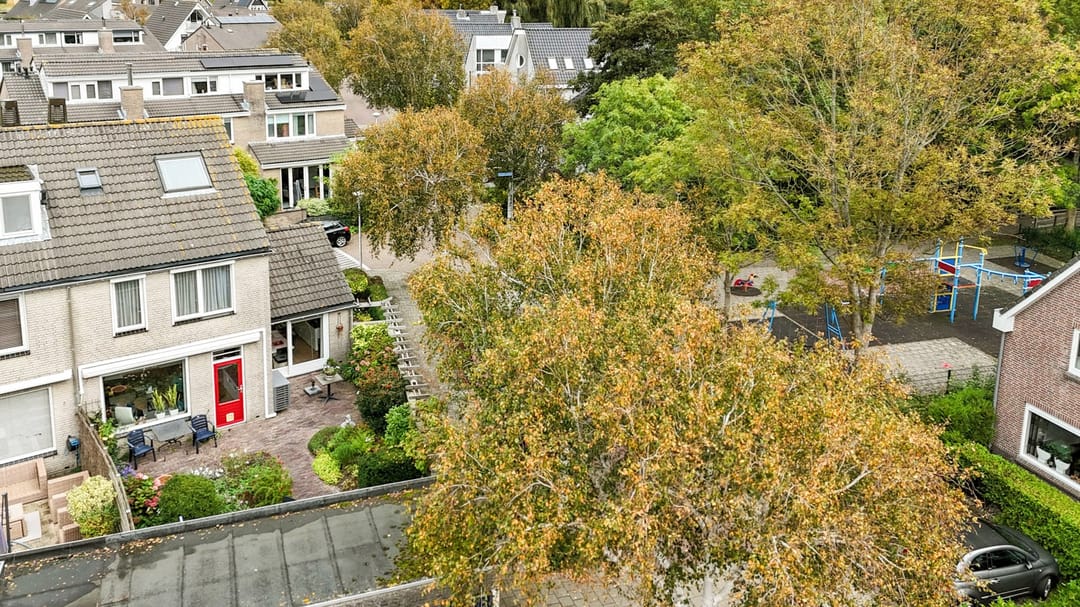 Foto 43 van Schapenweide 28