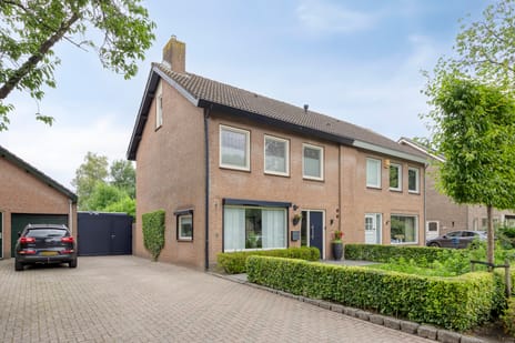 undefined main image