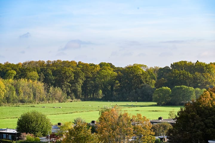 Foto 20 van Titus Brandsmastraat 75