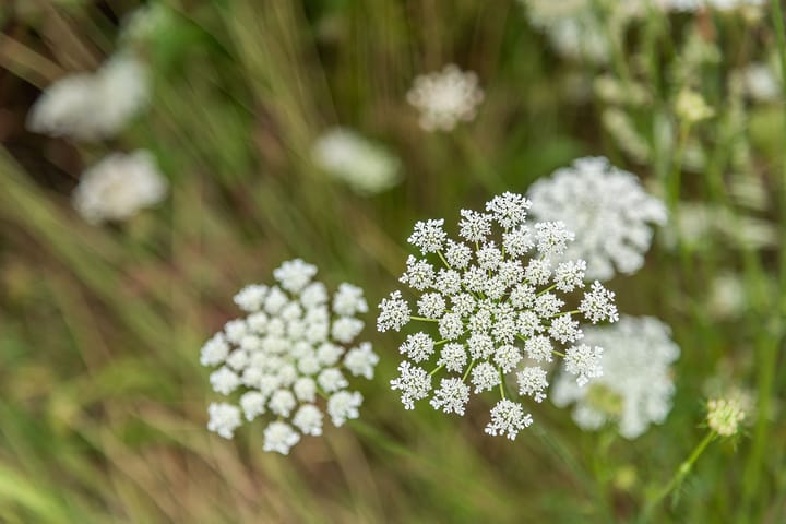 Photo 13 of Prinsenbaan 146