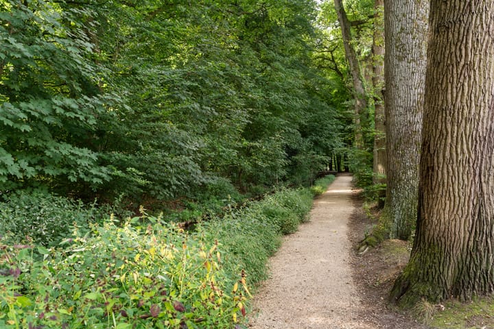 Photo 38 of Bernhardlaan 15-4A