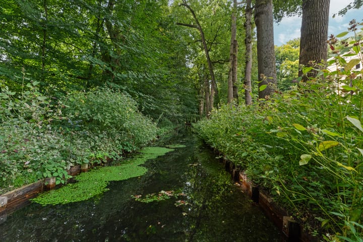 Photo 39 of Bernhardlaan 15-4A