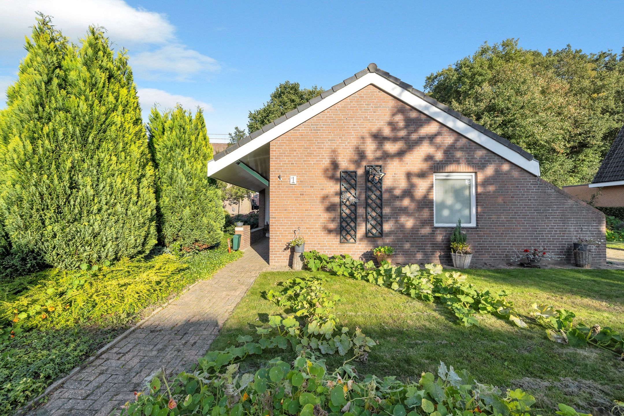 Foto 9 van Torenakkers 1