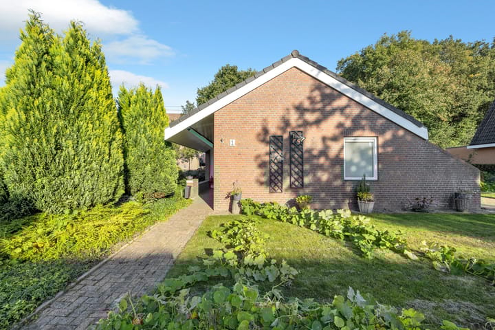 Photo 9 of Torenakkers 1