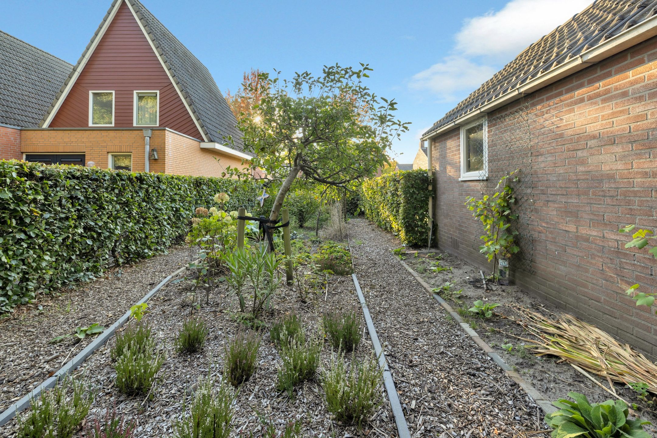 Foto 57 van Torenakkers 1