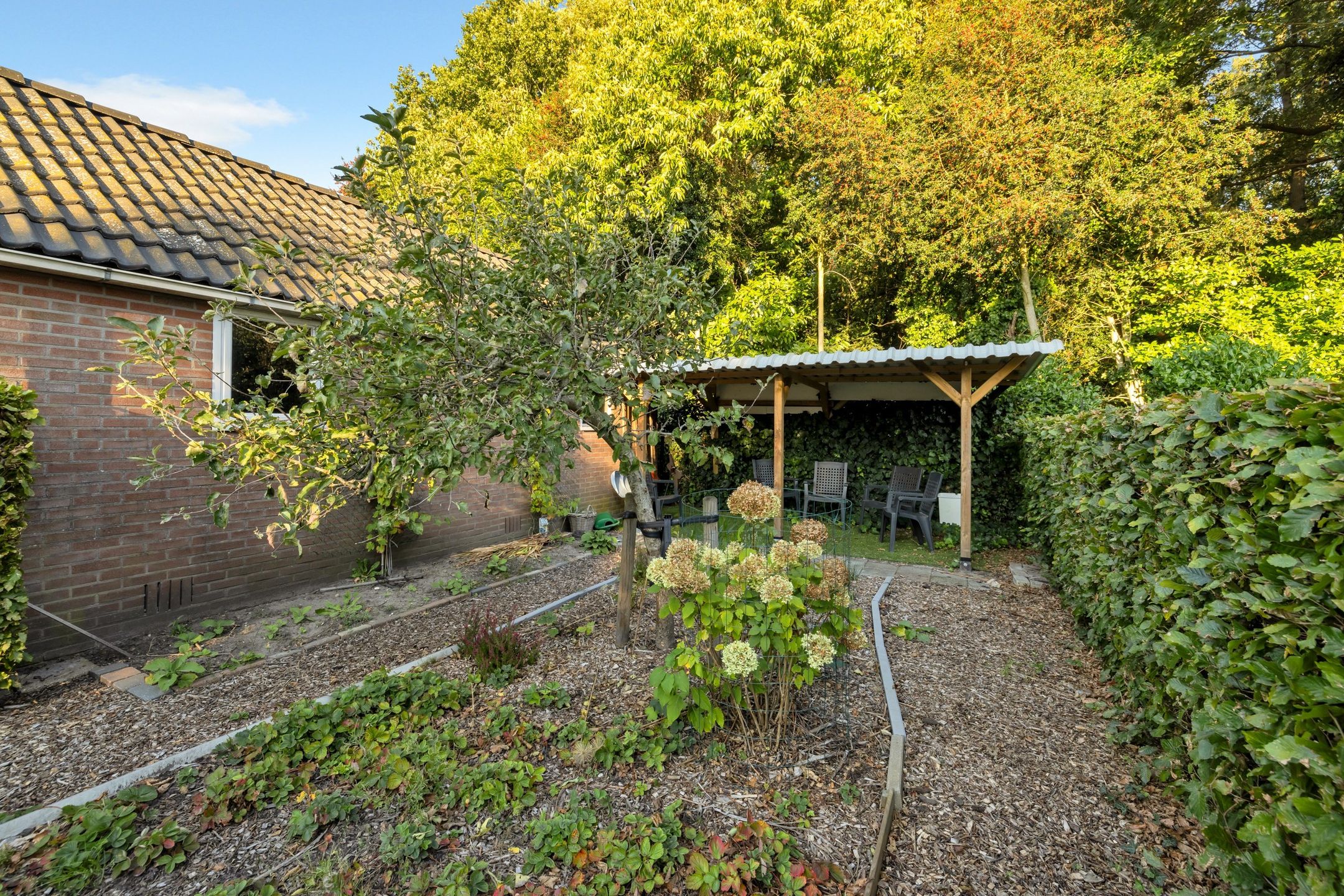 Foto 54 van Torenakkers 1