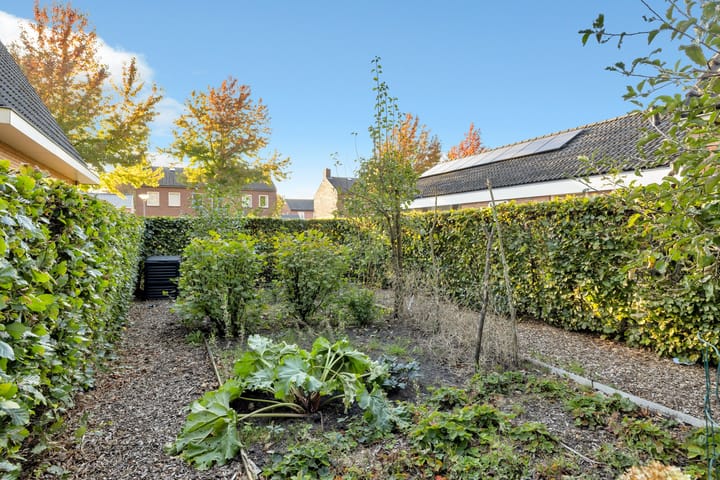 Photo 58 of Torenakkers 1