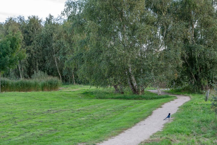 Foto 51 van Alexandriëstraat 8