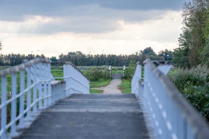 Foto 54 van Alexandriëstraat 8