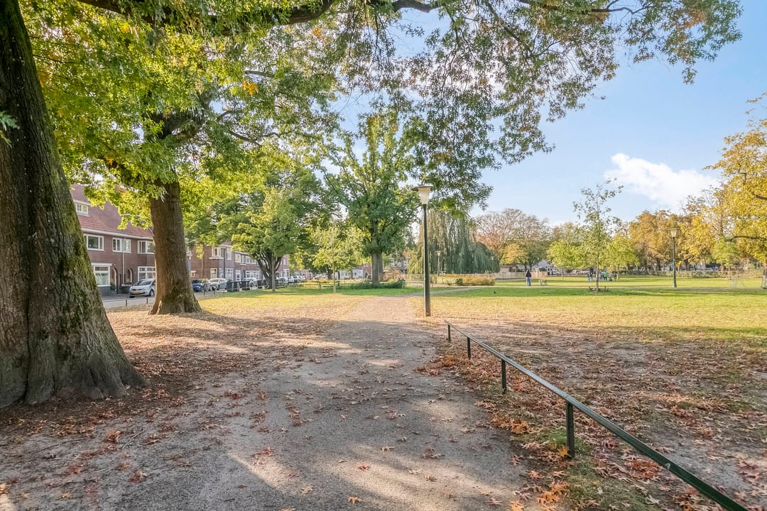 Photo 23 of Ranonkelstraat 7