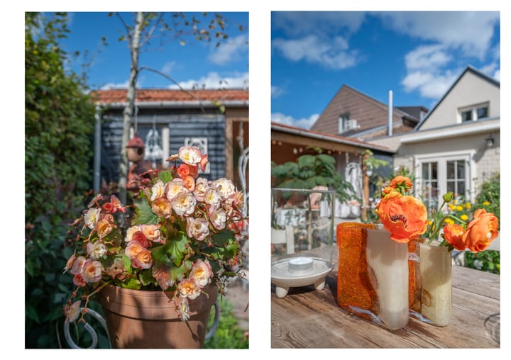 Photo 47 of Pannesheuvel 17