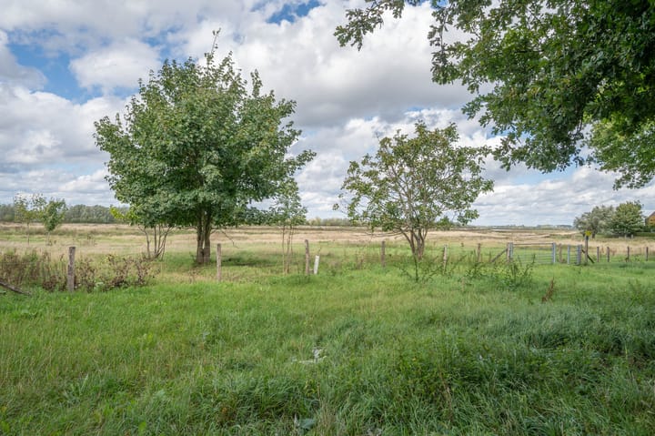 Photo 55 of Pannesheuvel 17