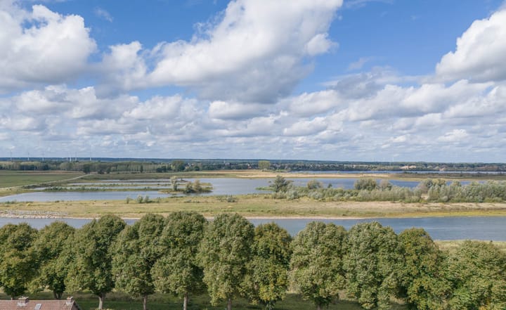 Photo 56 of Pannesheuvel 17