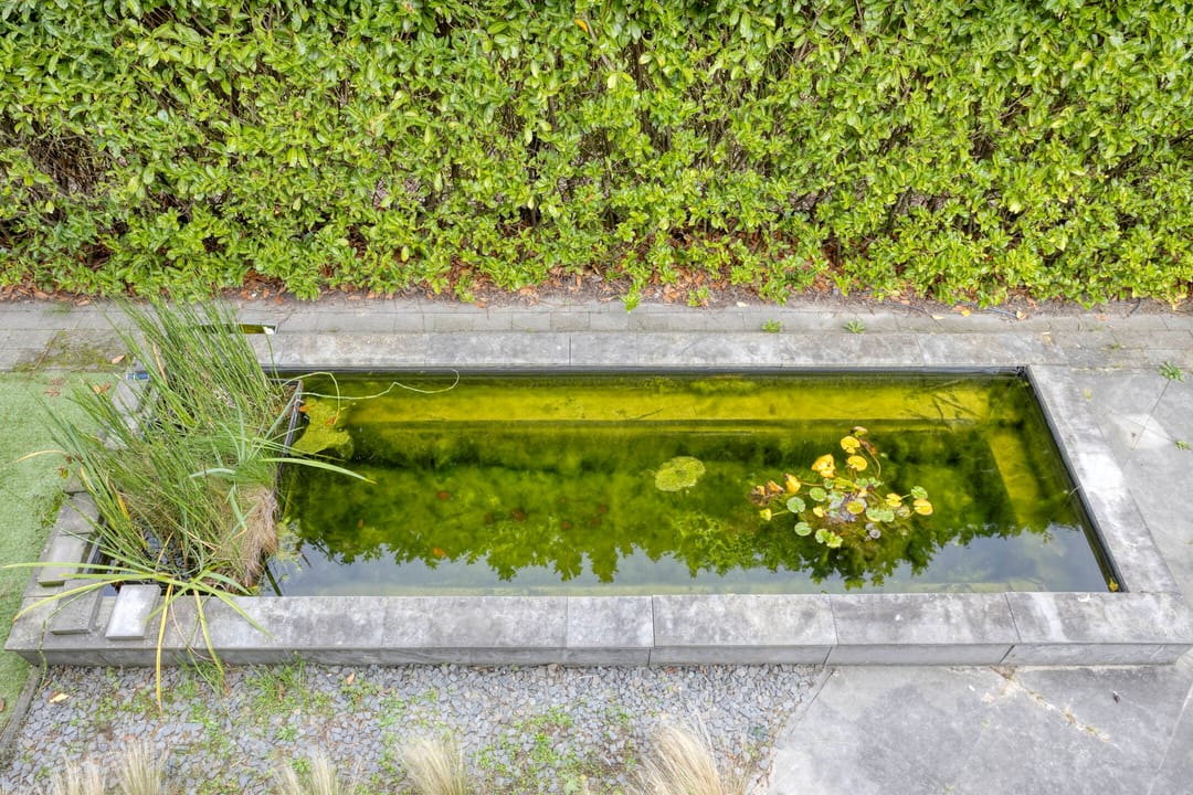 Photo 37 of Gigantenstraat 8