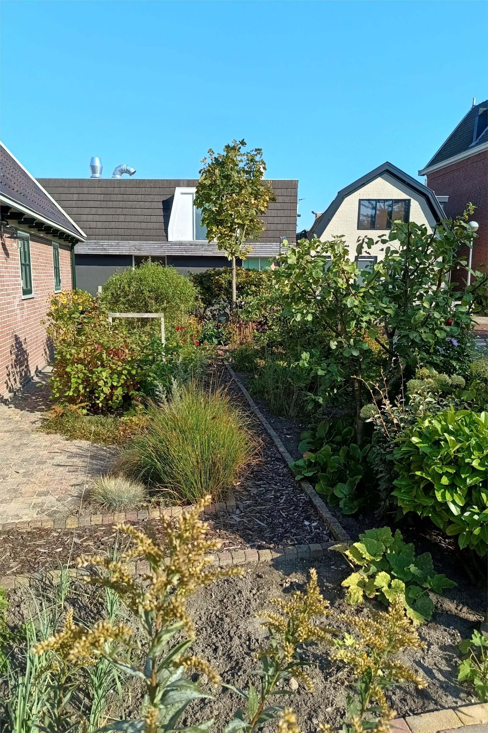 Photo 63 of Voorburggracht 289