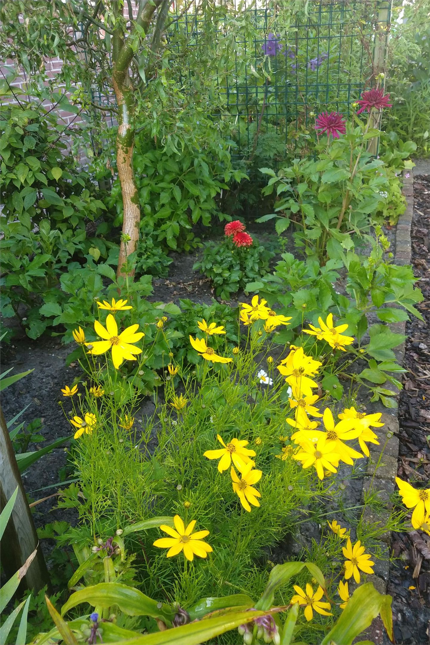 Photo 64 of Voorburggracht 289