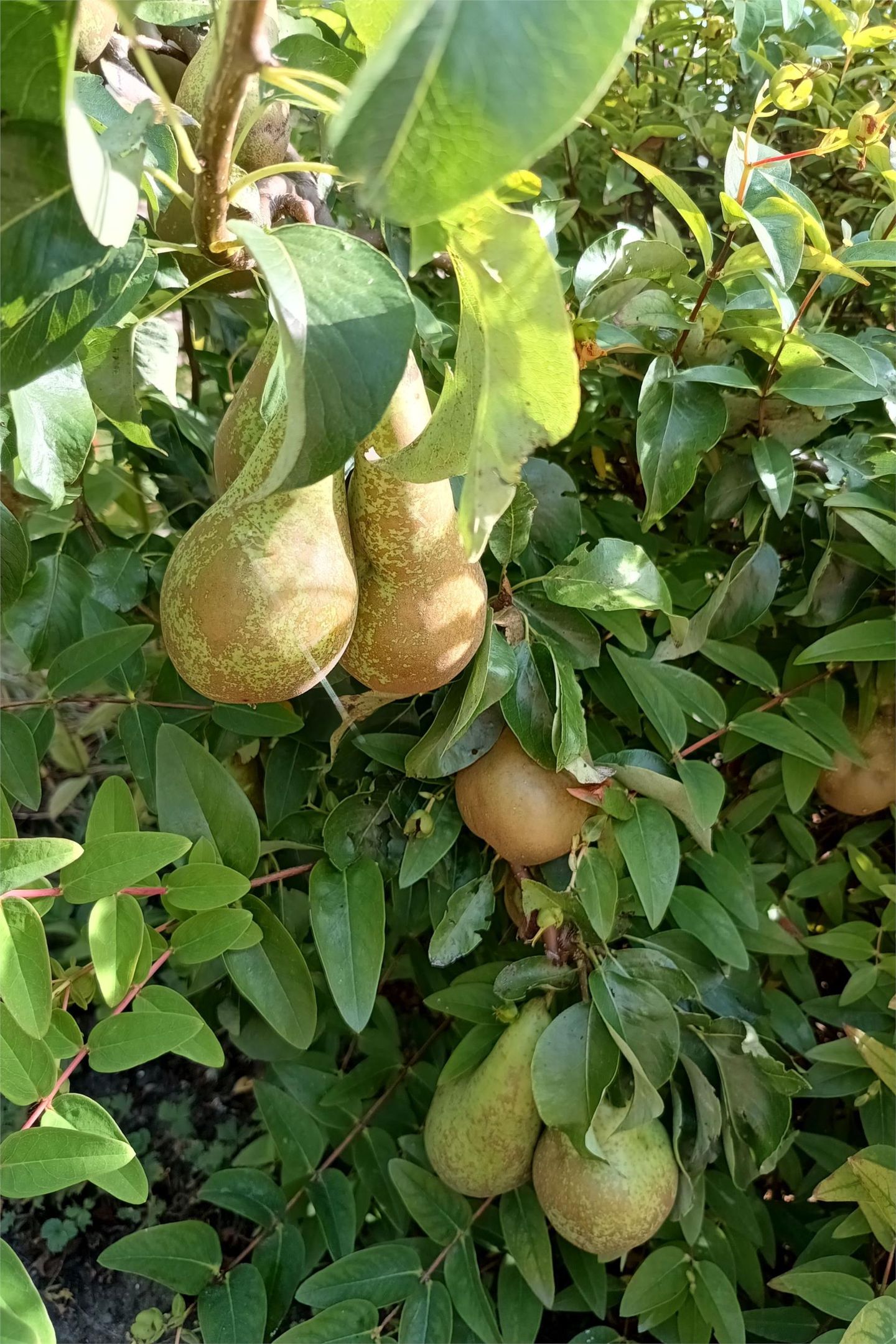 Photo 65 of Voorburggracht 289