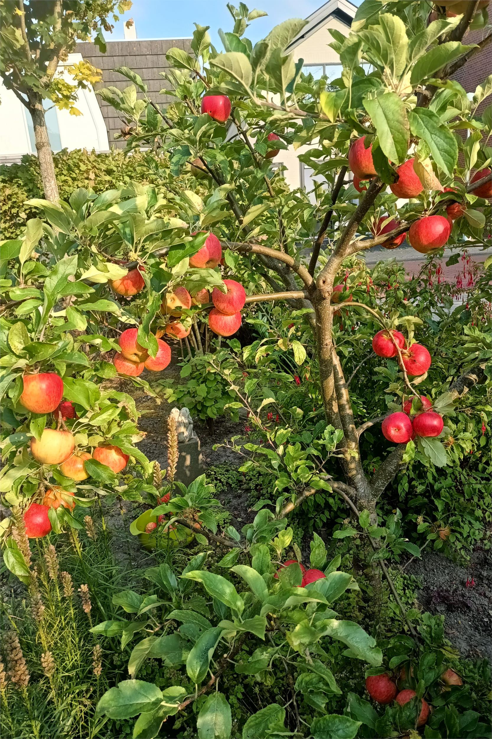 Photo 66 of Voorburggracht 289