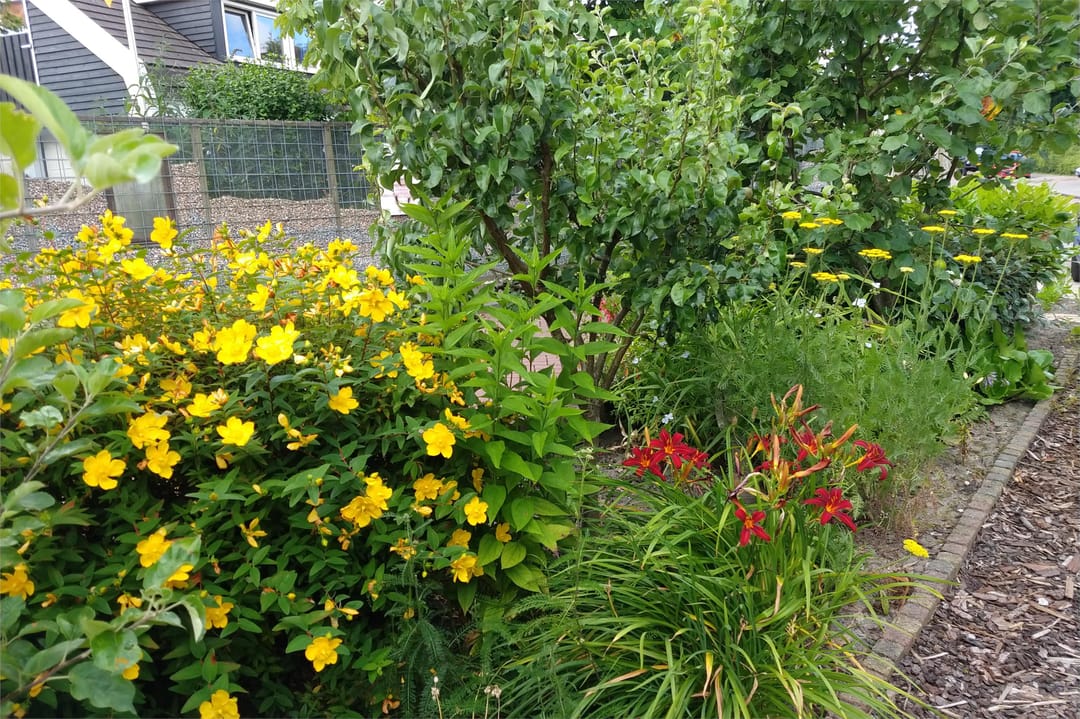 Photo 68 of Voorburggracht 289