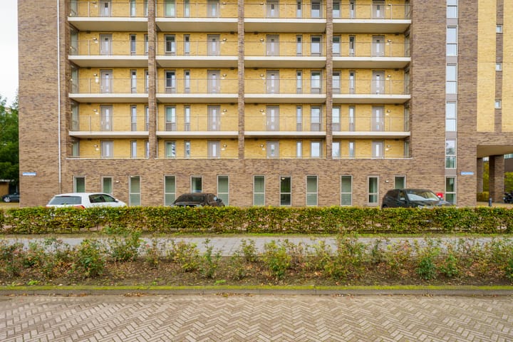 Foto 19 van Tempo Doeloestraat 176