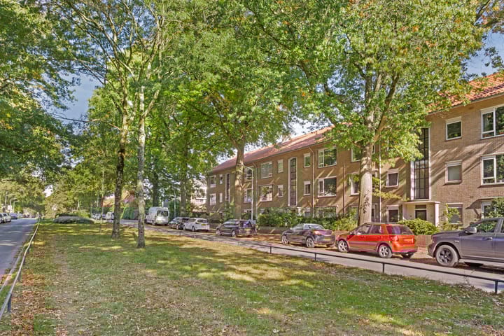 Photo 34 of Bosdrift 225