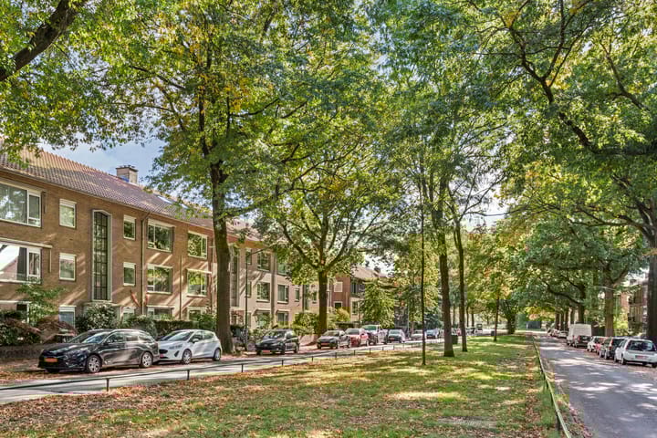 Photo 35 of Bosdrift 225