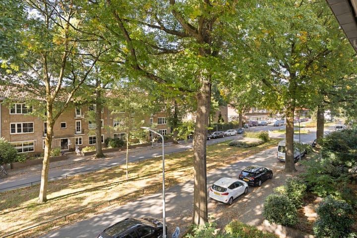 Foto 3 van Bosdrift 225