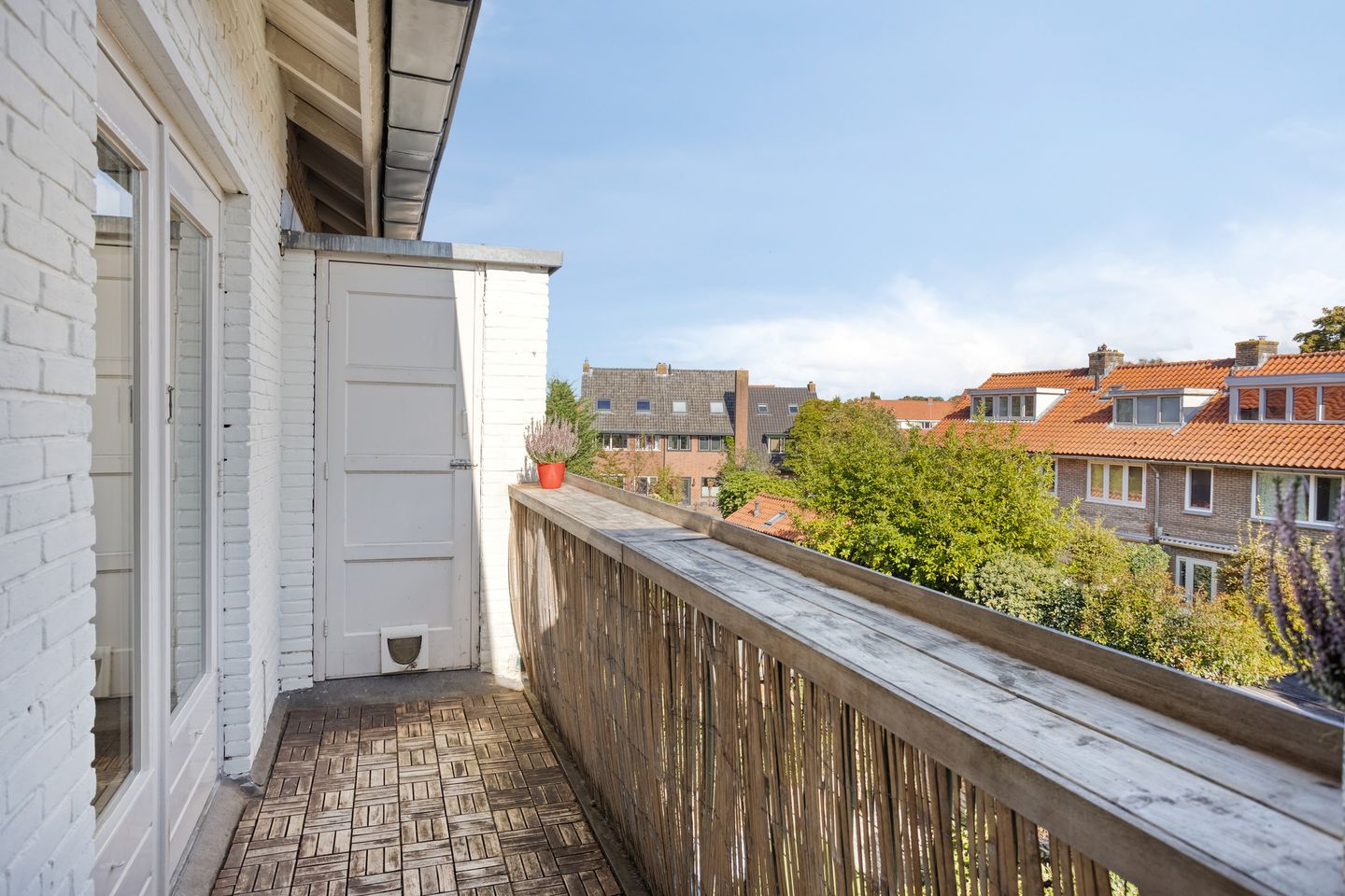 Foto 14 van Bosdrift 225