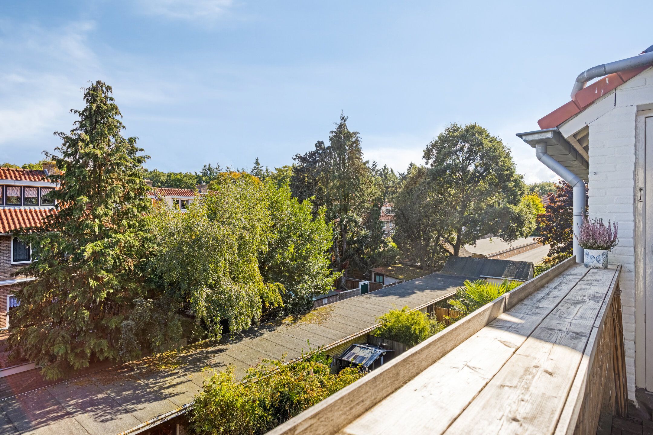 Foto 15 van Bosdrift 225