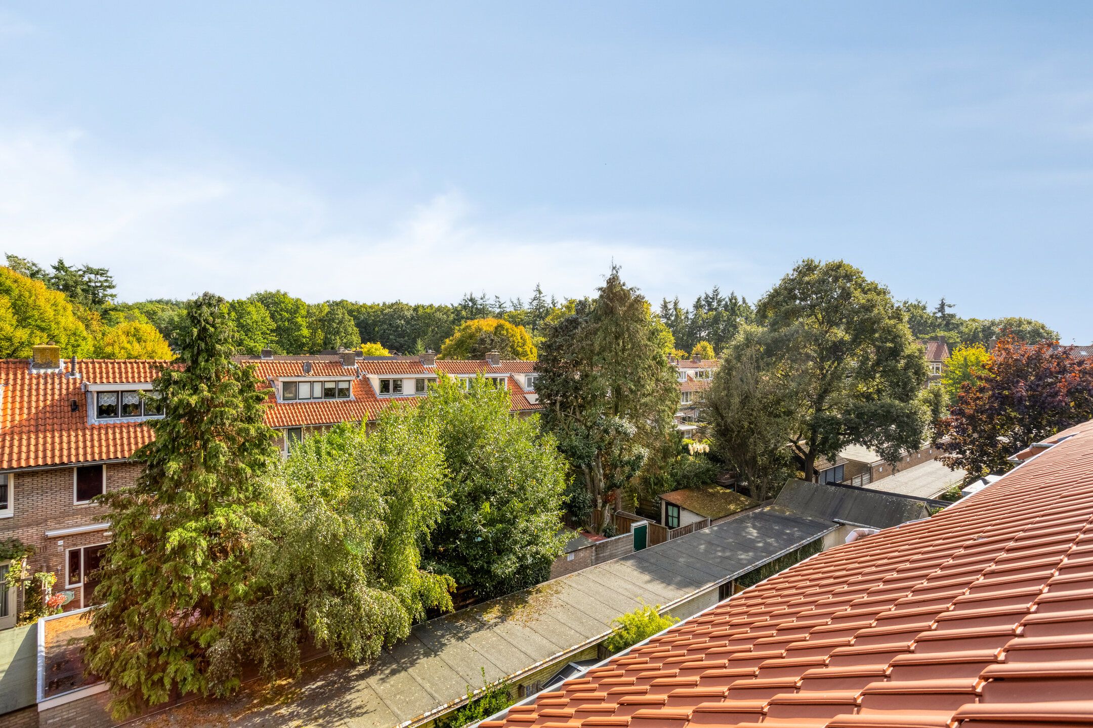 Foto 24 van Bosdrift 225