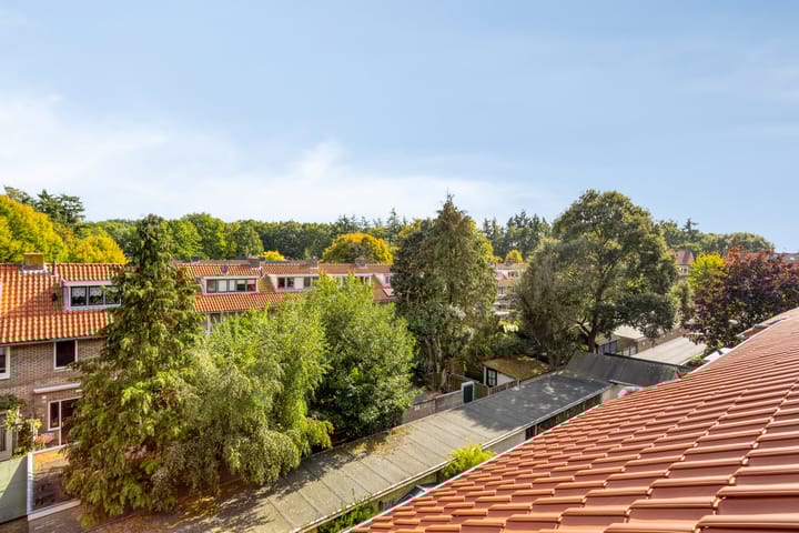 Photo 24 of Bosdrift 225