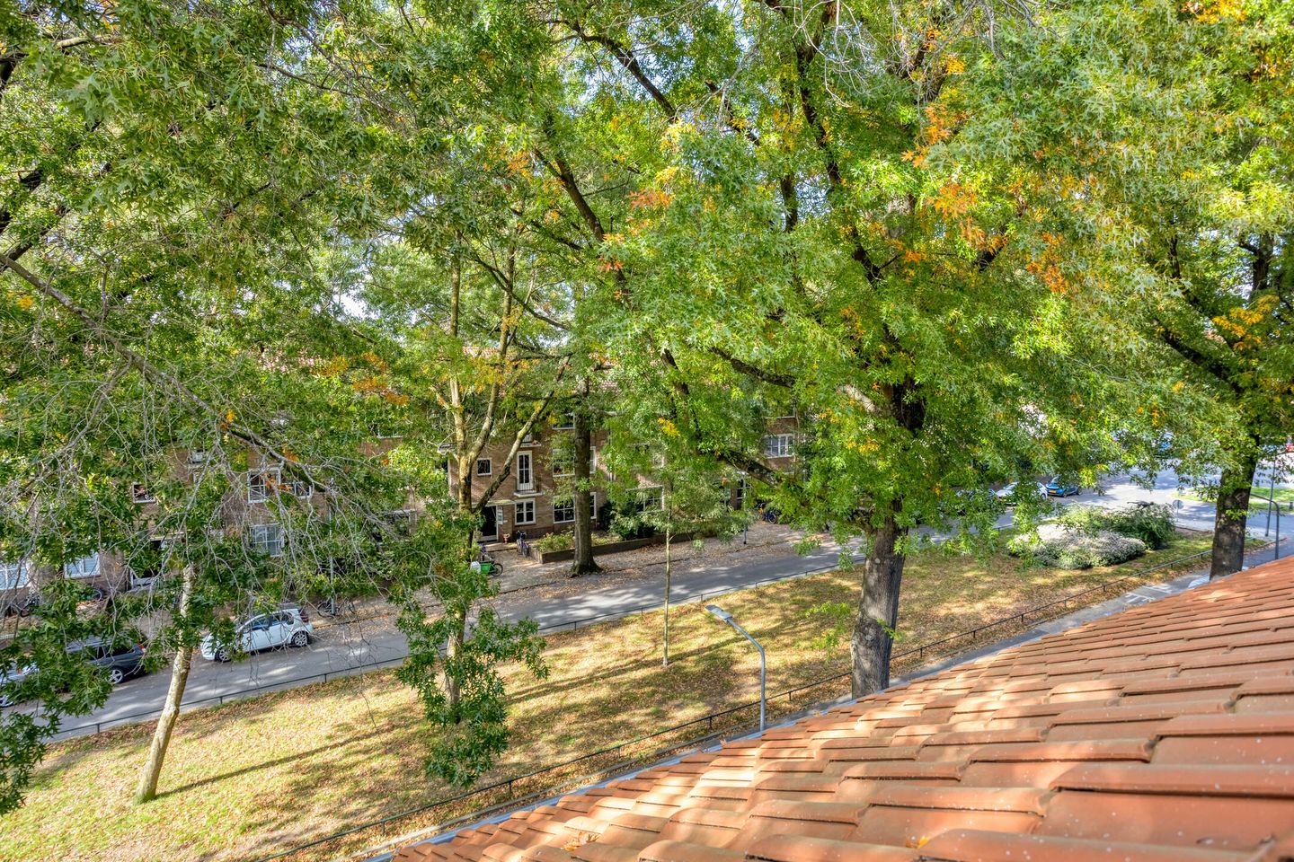 Foto 29 van Bosdrift 225